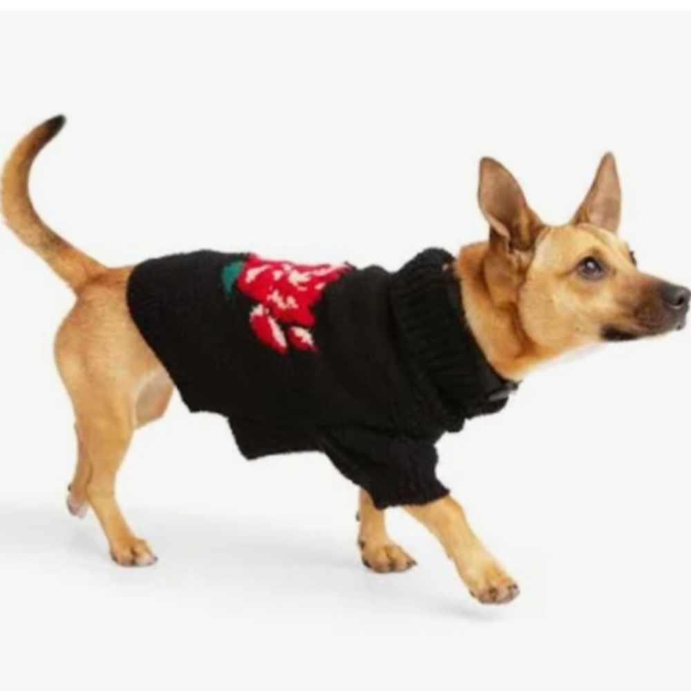 Youly by Petco Rose pet sweater